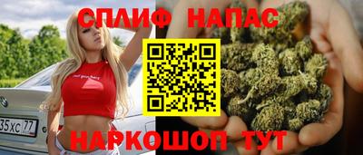 тгк Белореченск