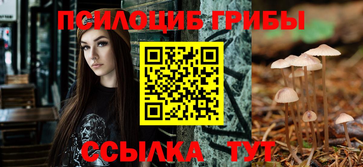 Псилоцибиновые грибы мицелий  Галлюциногенные грибы Magic Shrooms  Вход с VPN  Тобольск 